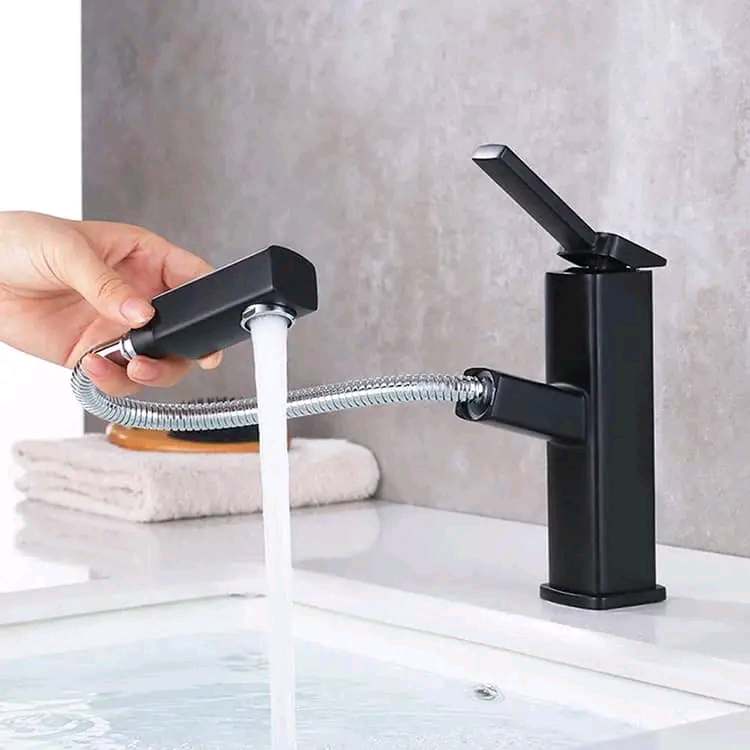 Robinet de salle de bain extractible