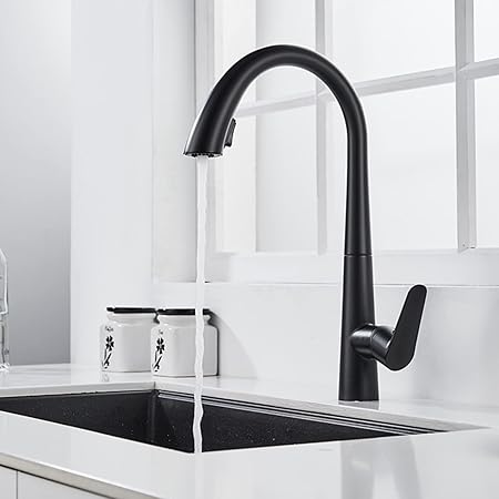 Robinets de cuisine avec pulvérisateur rétractable