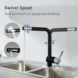 Robinet de cuicine extractible